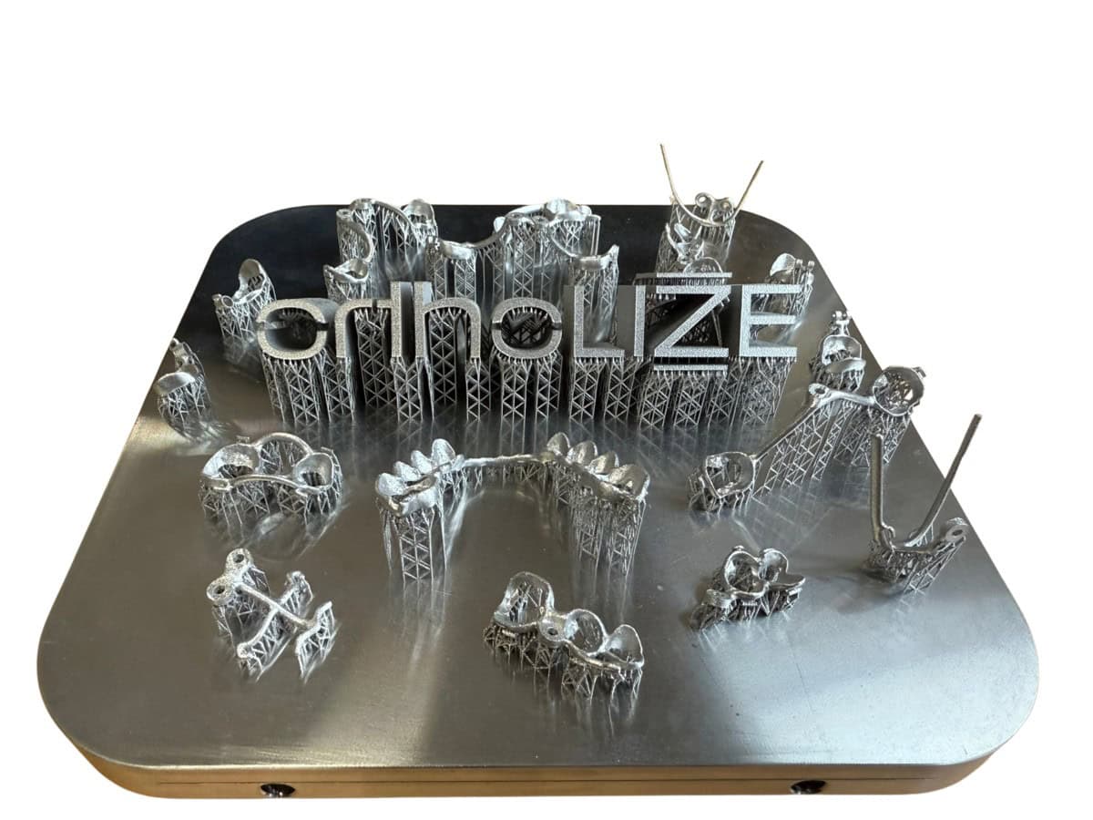 Ortholize 3D Druck